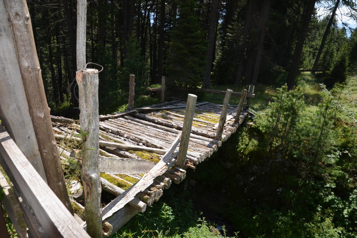 Latschenoelbrennerei und Platzer Alm 09.08.2021